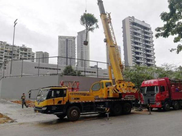 茅箭区吊车租赁电话_这样让你租来的吊车油钱省不少